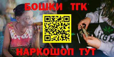 дмт Славгород