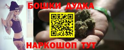 дмт Славгород