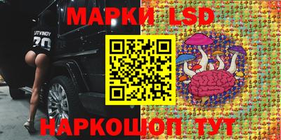 дмт Славгород