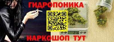 дмт Славгород
