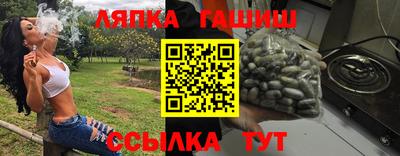 дмт Славгород
