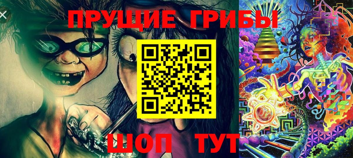 Галлюциногенные грибы Cubensis  купить наркотик  Сальск  Вход с VPN 